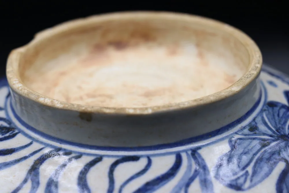 Yuan Dynasty Blue and White Porcelain Bowl with Fish and Lotus, view 3